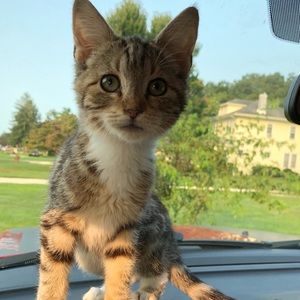 Meet your Posher, Megan